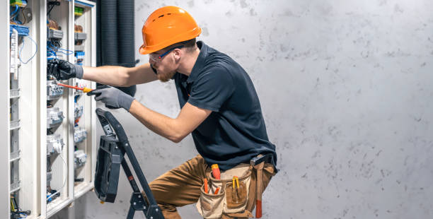 Best Electric Panel Repair  in Picacho Hills, NM
